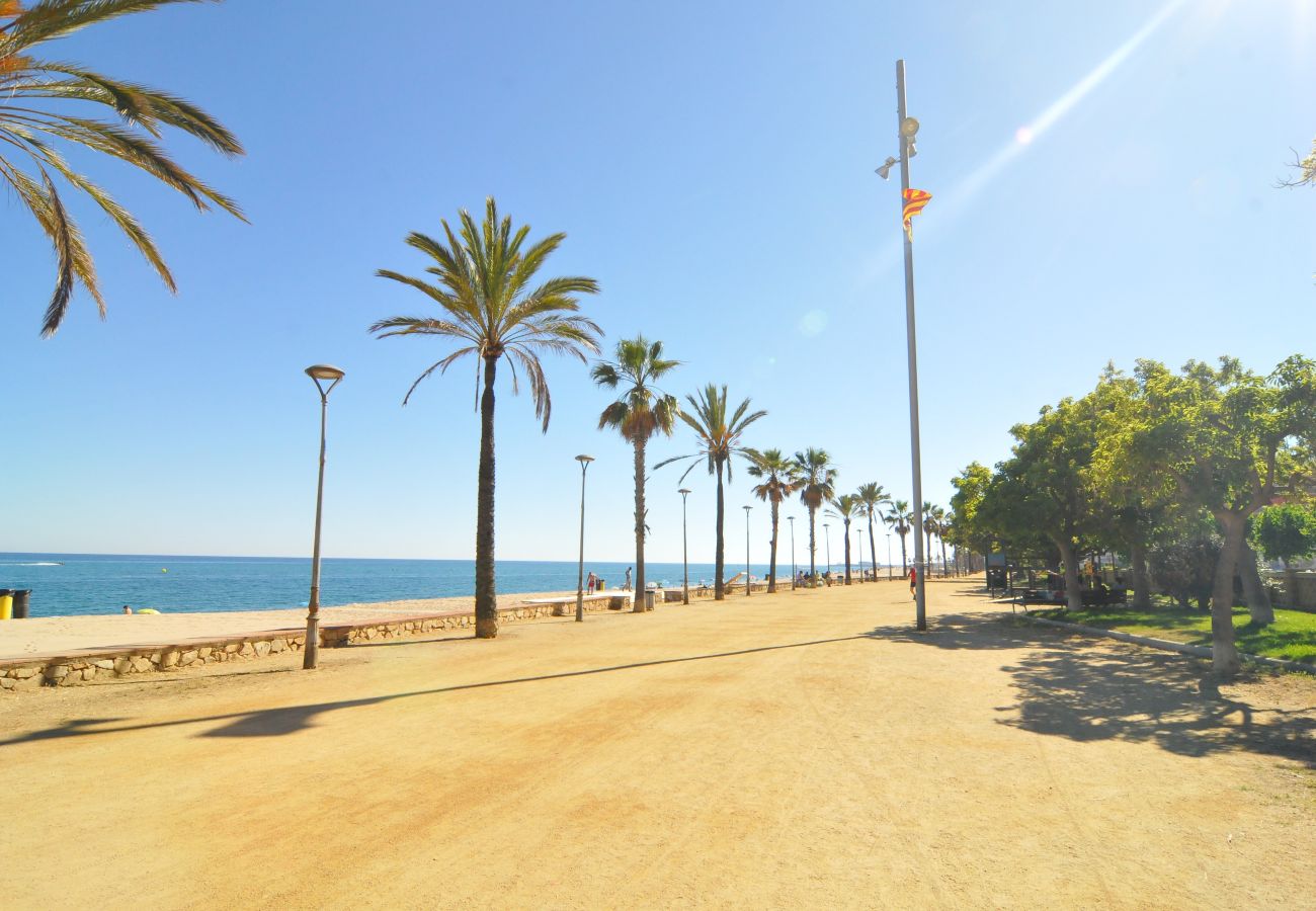 Apartamento en Canet de Mar - HomeHolidaysRentals Palm Beach - Costa Barcelon