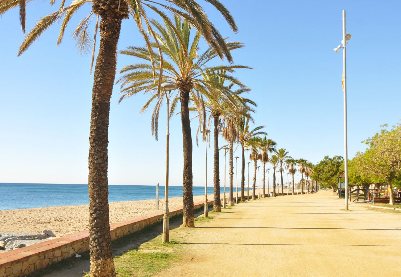 Apartamento en Canet de Mar - HomeHolidaysRentals Palm Beach - Costa Barcelon