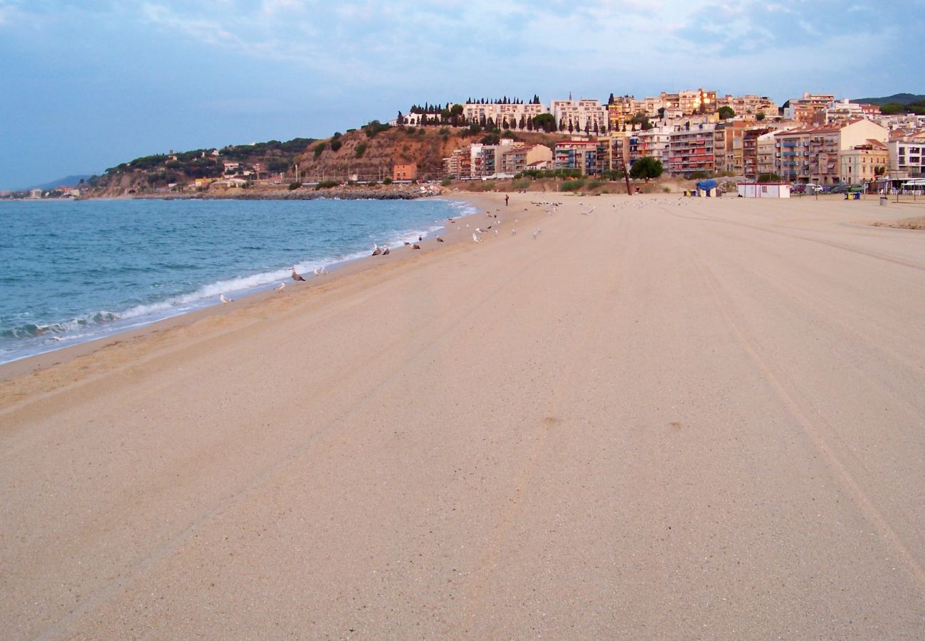Apartamento en Arenys de Mar - HomeHolidaysRentals Chance - Costa Barcelona
