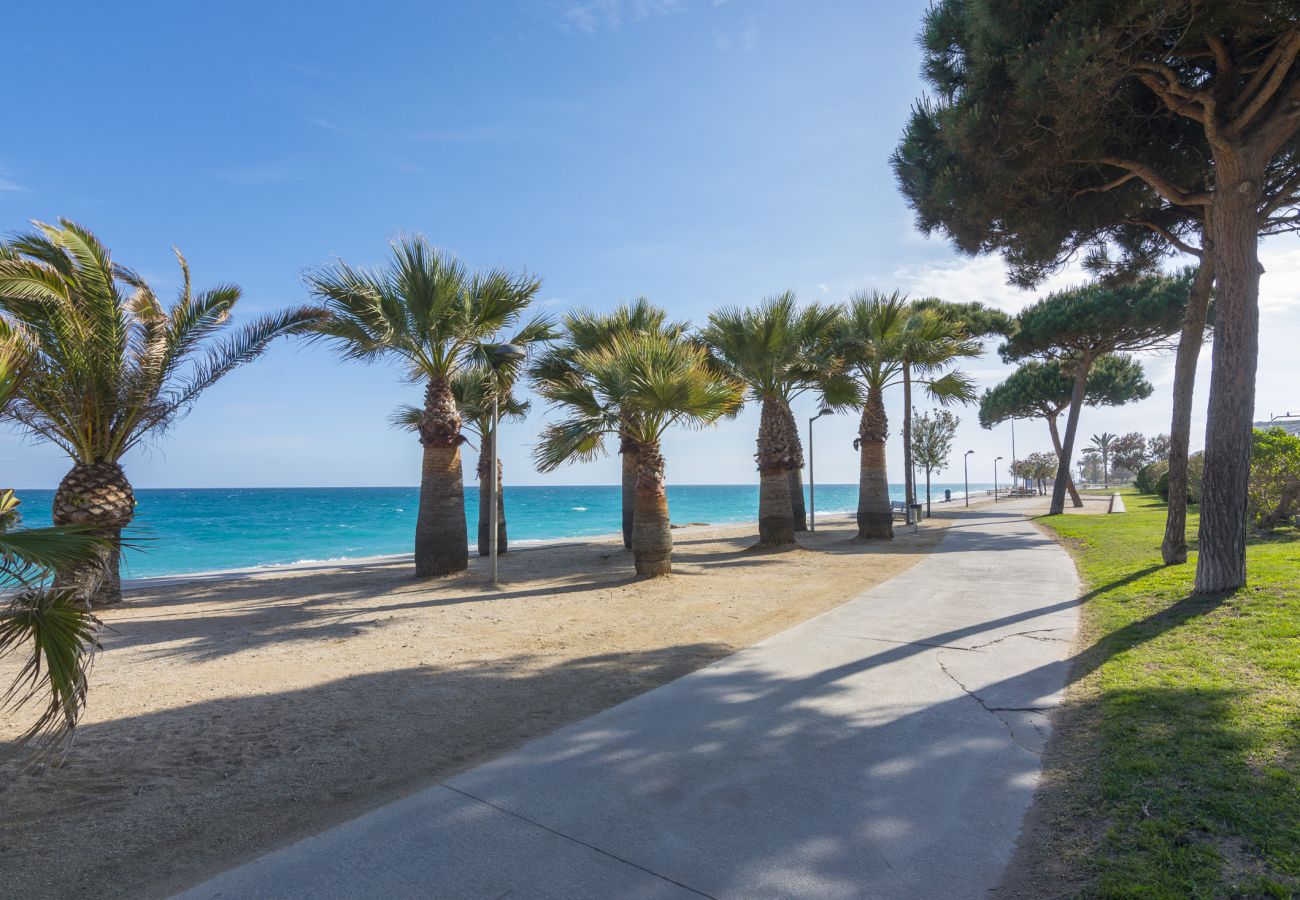 Apartamento en Pineda de Mar - HomeHolidaysRentals Dona - Costa Barcelona