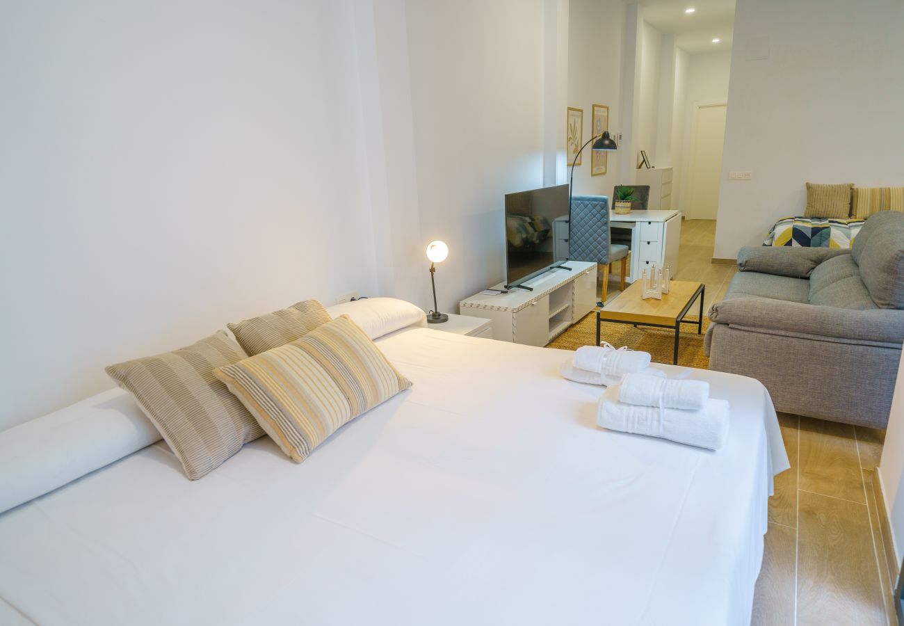 Estudio en Pineda de Mar - HomeHolidaysRentals Mana - Costa Barcelona