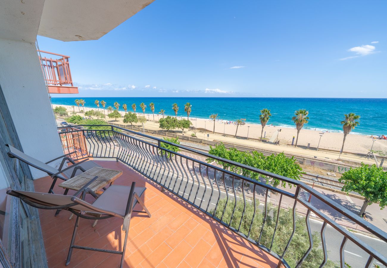 Apartament en Canet de Mar - HomeHolidaysRentals Palm Beach - Costa Barcelon