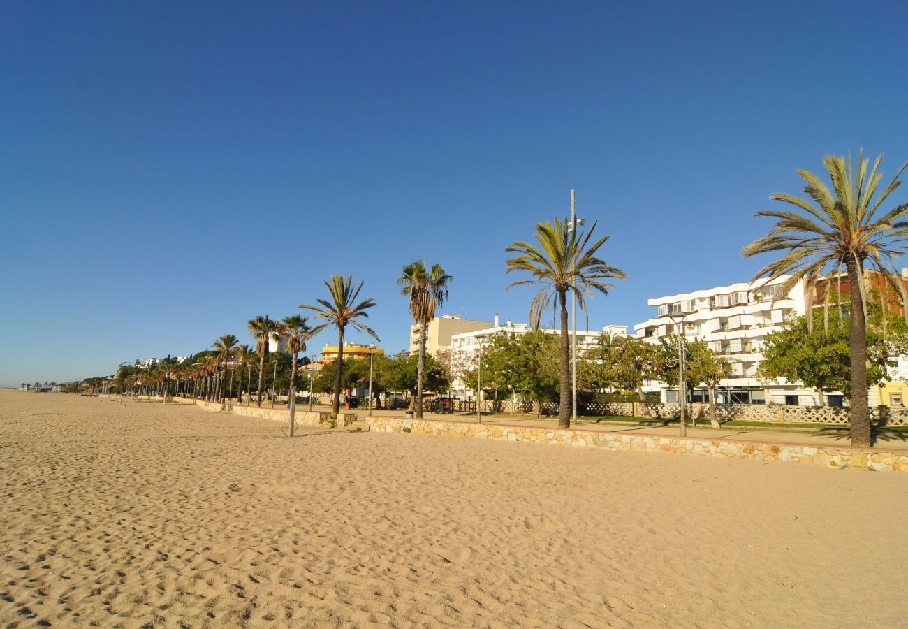 Apartament en Canet de Mar - HomeHolidaysRentals Palm Beach - Costa Barcelon