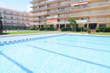 Apartament en Malgrat de Mar - HomeHolidaysRentals Lorraine- Costa...