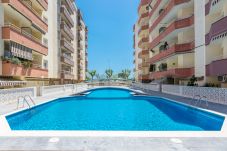 Apartament en Pineda de Mar - HomeHolidaysRentals Palmier - Costa...