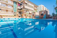 Apartament en Pineda de Mar - HomeHolidaysRentals Frida - Costa...