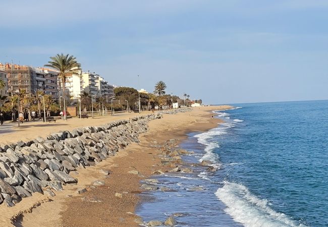  en Pineda de Mar - HomeHolidaysRentals Sampai - Costa Barcelona