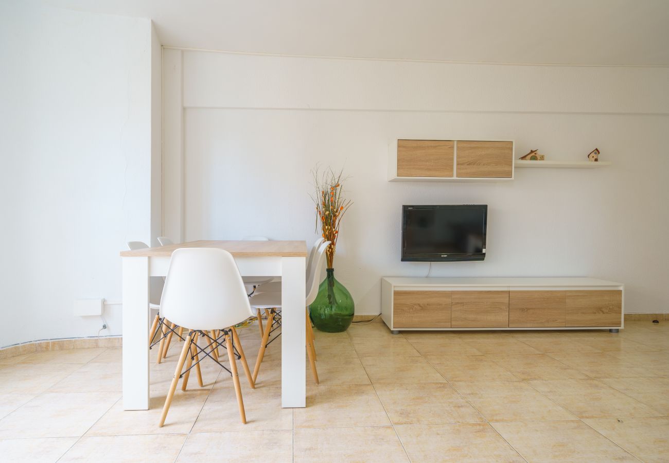 Apartament en Pineda de Mar - HomeHolidaysRentals Anais - Costa Barcelona