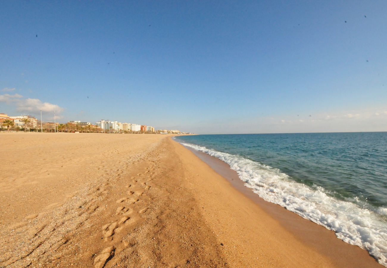 Apartment in Malgrat de Mar - HomeHolidaysRentals Miramar - Costa Barcelona