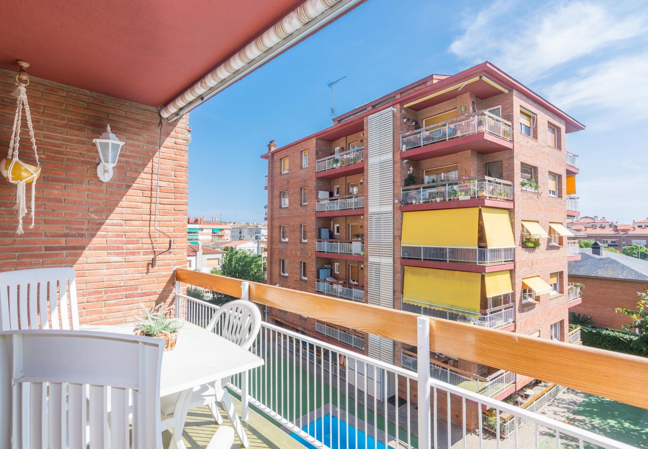 Apartment in Pineda de Mar - HomeHolidaysRentals Amaral - Costa Barcelona