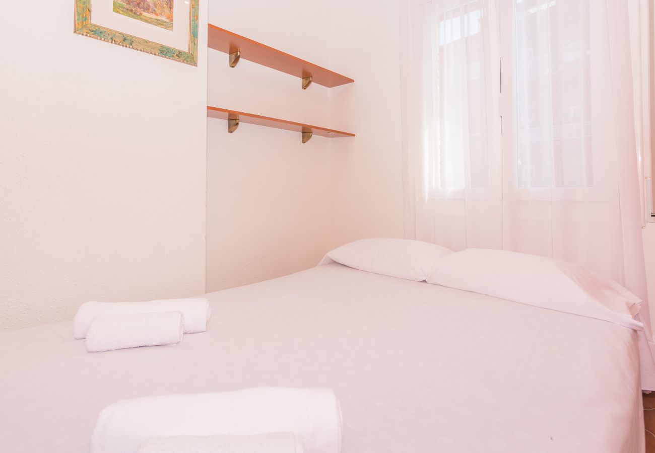 Apartment in Pineda de Mar - HomeHolidaysRentals Amaral - Costa Barcelona