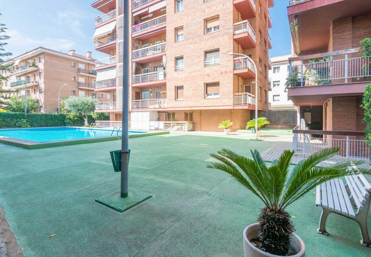 Apartment in Pineda de Mar - HomeHolidaysRentals Amaral - Costa Barcelona