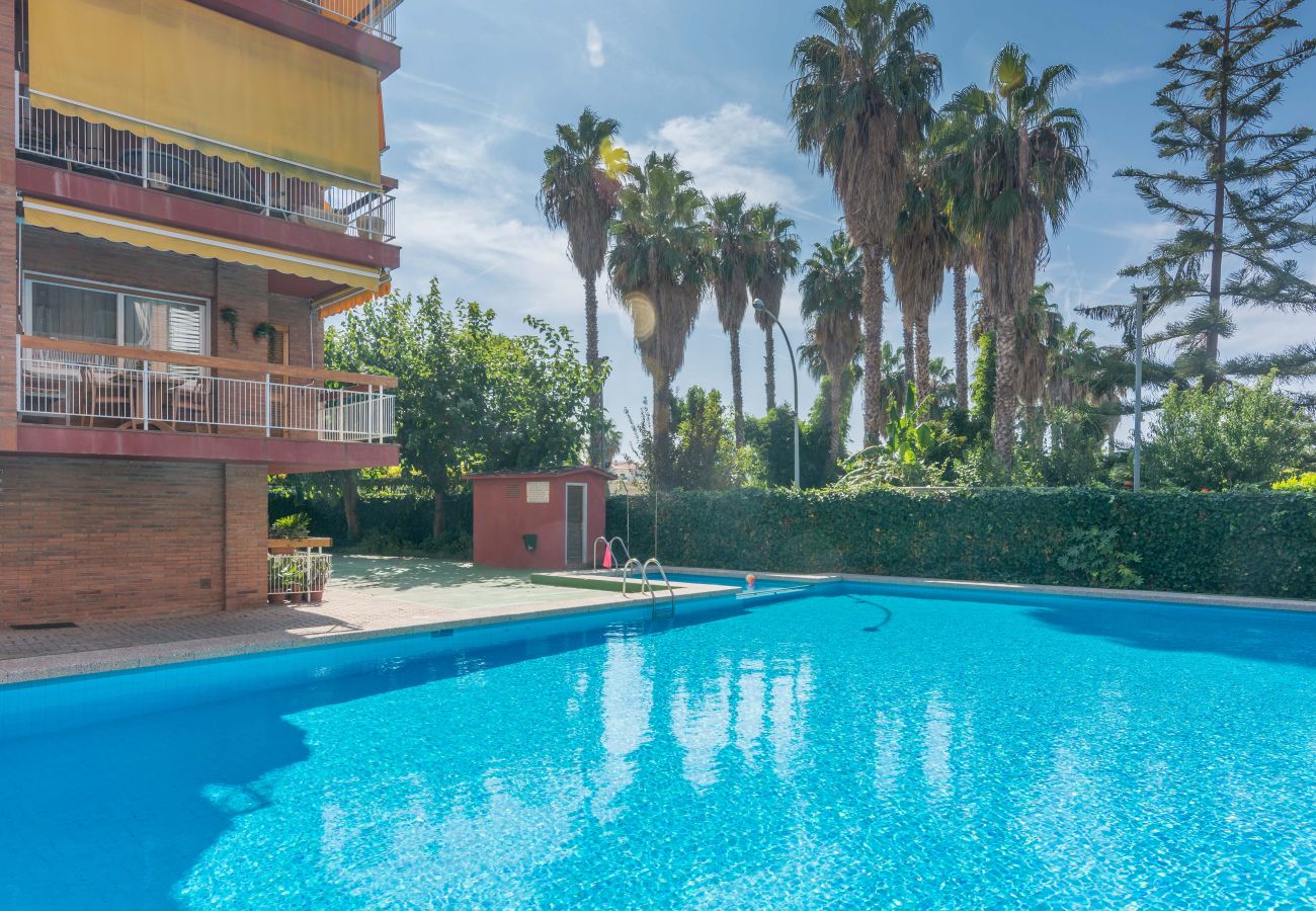 Apartment in Pineda de Mar - HomeHolidaysRentals Amaral - Costa Barcelona