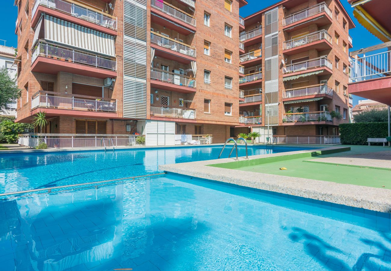 Apartment in Pineda de Mar - HomeHolidaysRentals Amaral - Costa Barcelona