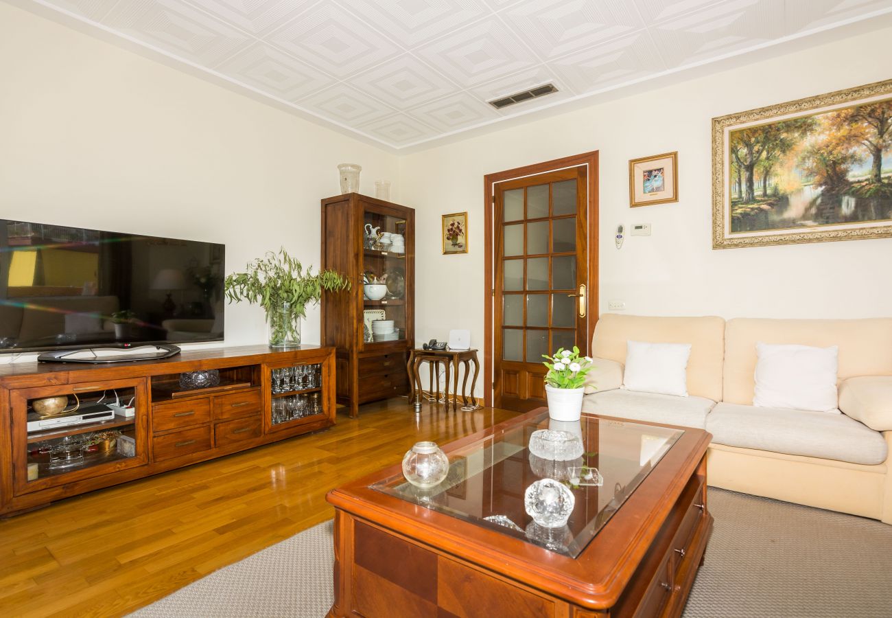 Apartment in Pineda de Mar - HomeHolidaysRentals Amaral - Costa Barcelona