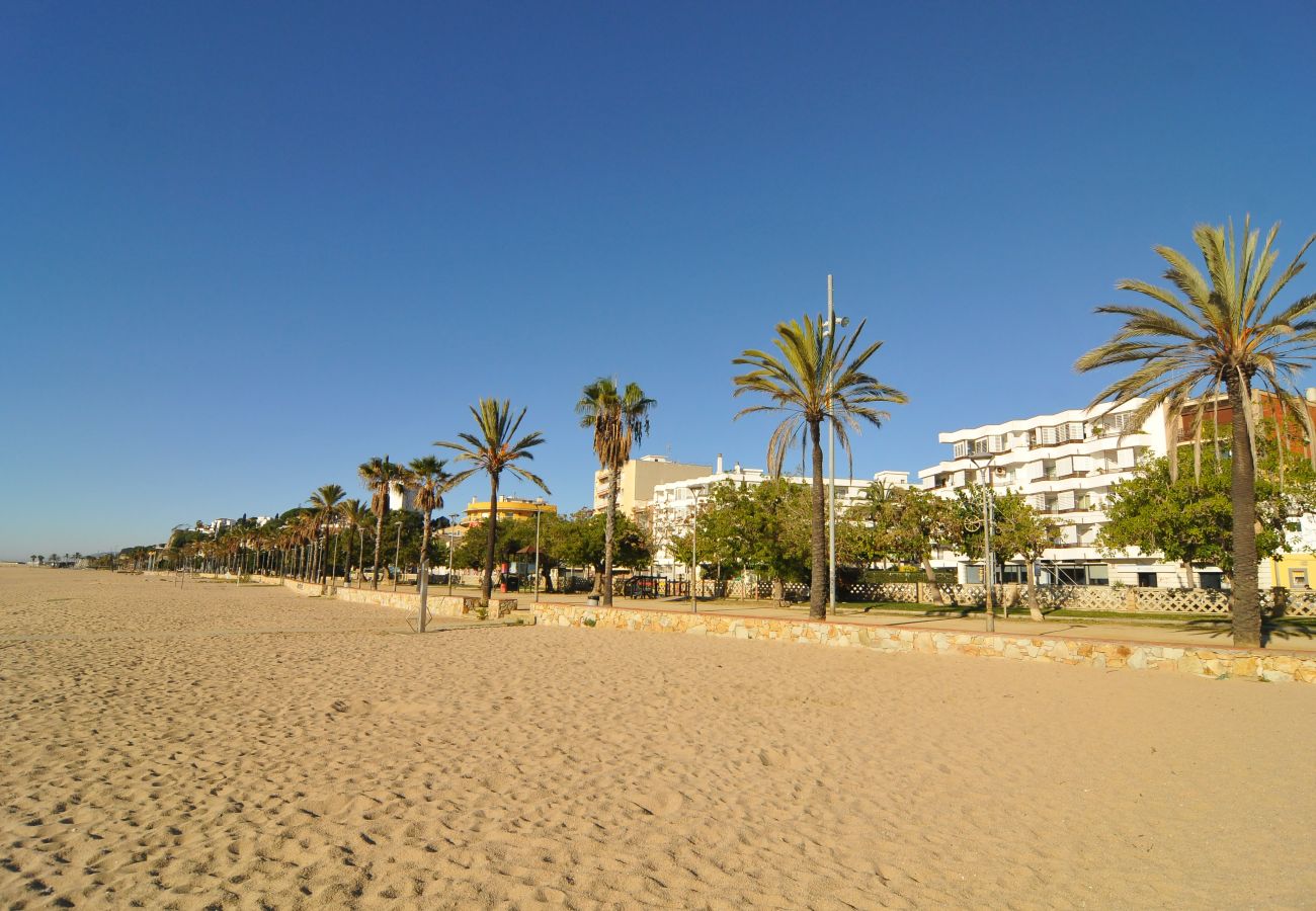 Apartment in Canet de Mar - HomeHolidaysRentals Canet Playa l-Costa Barcelo