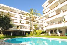 Apartment in Canet de Mar - HomeHolidaysRentals Canet Playa l-Costa...