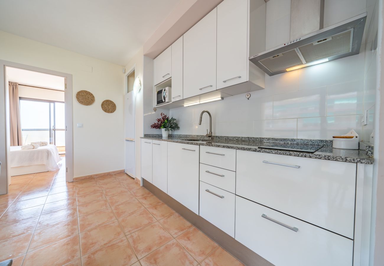 Apartment in Malgrat de Mar - HomeHolidaysRentals Barcelona-Costa Barcelona