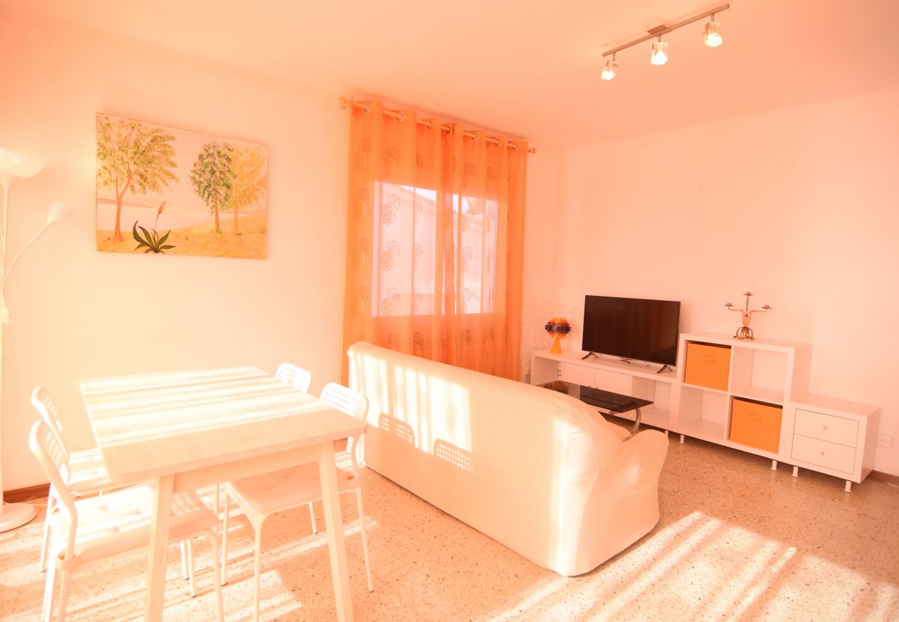 Apartment in Pineda de Mar - HomeHolidaysRentals Millet- Costa Barcelona