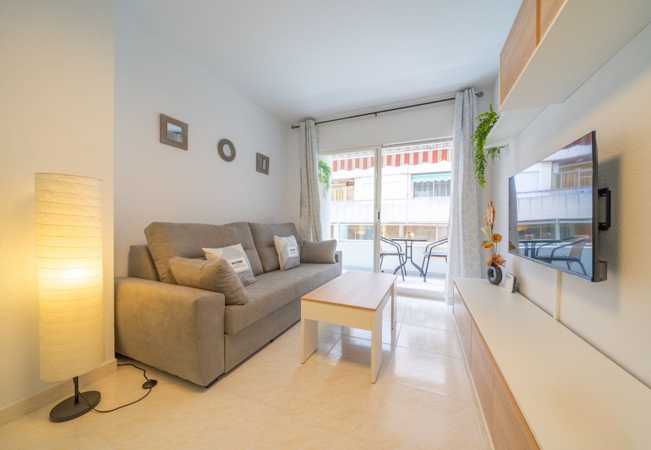 Apartment in Pineda de Mar - HomeHolidaysRentals Caliz - Costa Barcelona