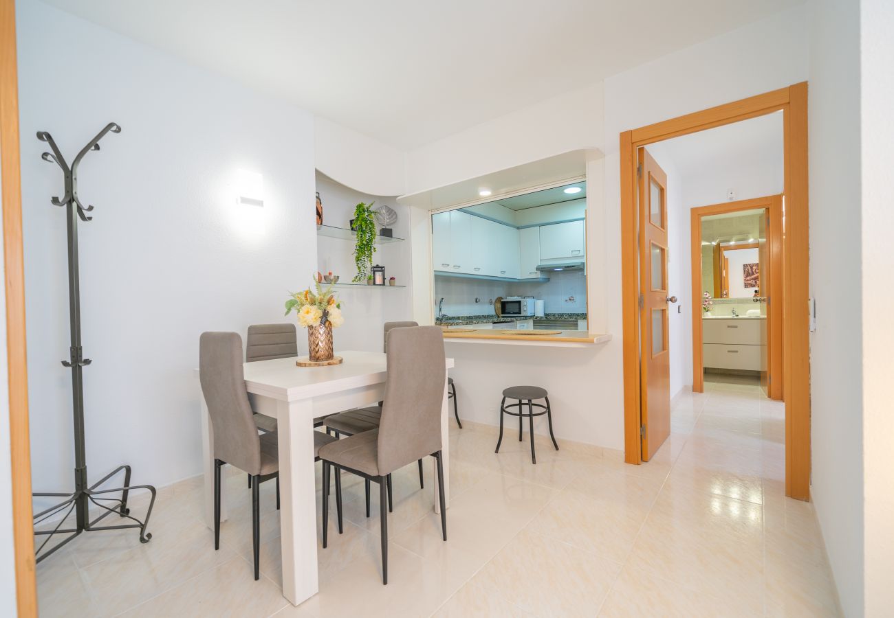 Apartment in Pineda de Mar - HomeHolidaysRentals Caliz - Costa Barcelona