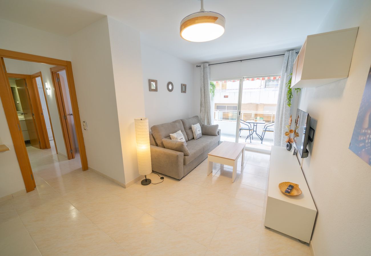 Apartment in Pineda de Mar - HomeHolidaysRentals Caliz - Costa Barcelona