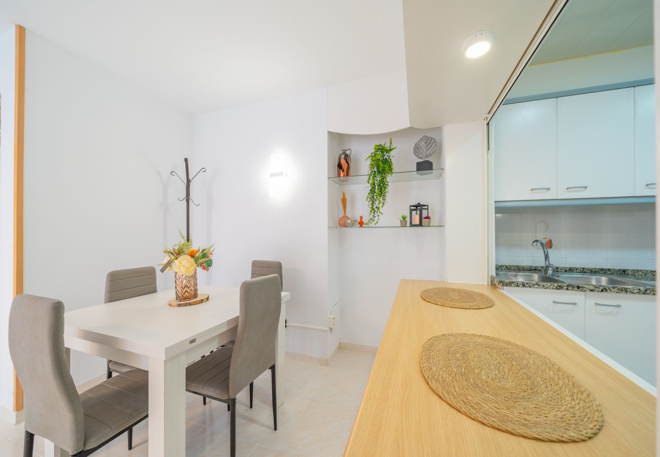 Apartment in Pineda de Mar - HomeHolidaysRentals Caliz - Costa Barcelona