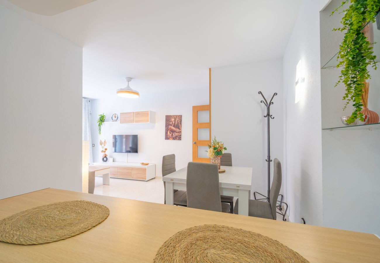 Apartment in Pineda de Mar - HomeHolidaysRentals Caliz - Costa Barcelona